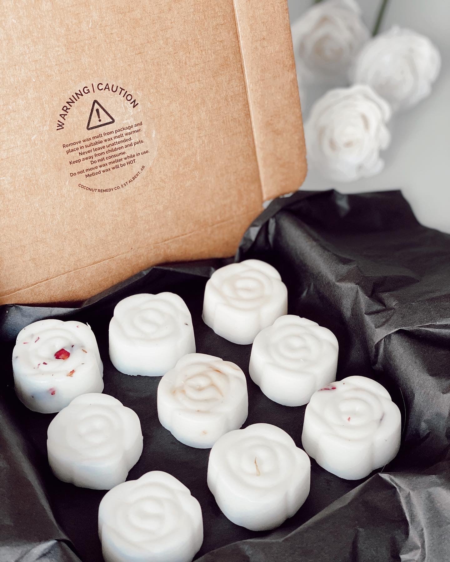 Coconut Wax Melt || VARIETY BOX